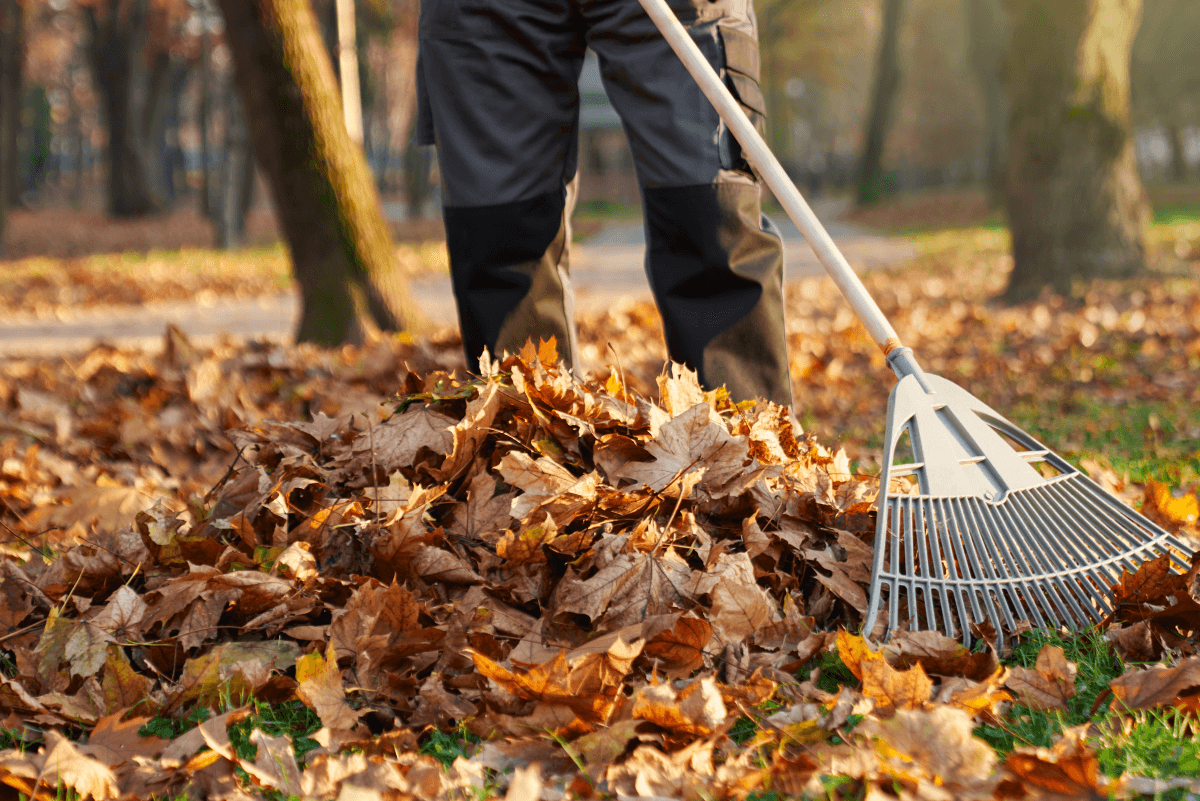 Leaf Removal in Brokenarrow project 3