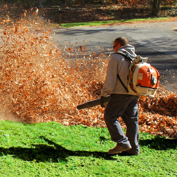 Leaf Removal in Brokenarrow project 4