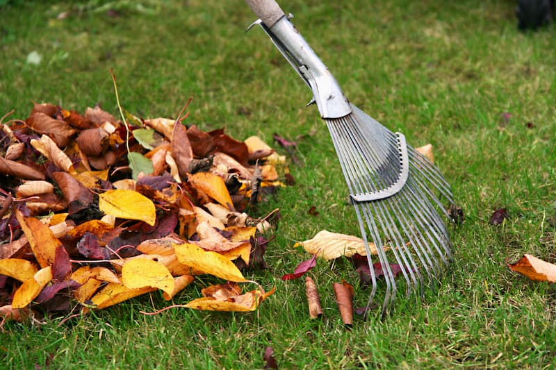 Leaf Removal in Brokenarrow project 5