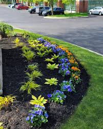Tree & Shrub Planting in Brokenarrow project 7