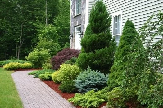 Tree & Shrub Planting in Brokenarrow project 9