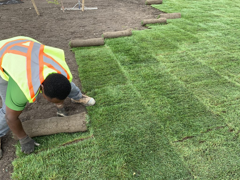 Sod Installation in Brokenarrow project 2