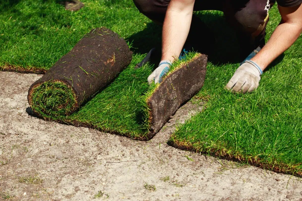 Sod Installation in Brokenarrow project 5